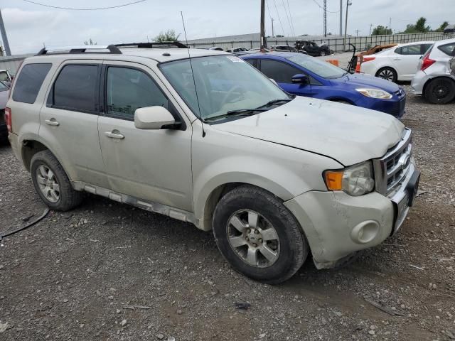 2009 Ford Escape Limited