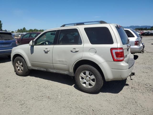 2009 Ford Escape Limited