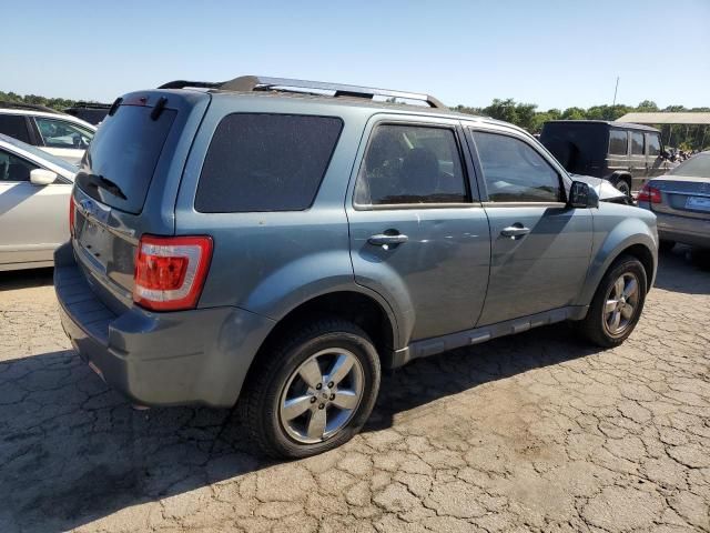 2011 Ford Escape Limited