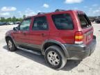 2006 Ford Escape XLT