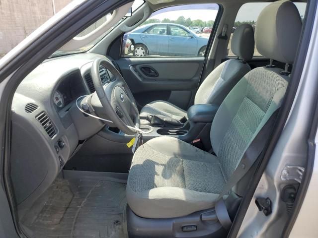 2005 Ford Escape XLT