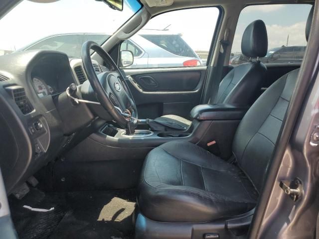 2007 Ford Escape Limited