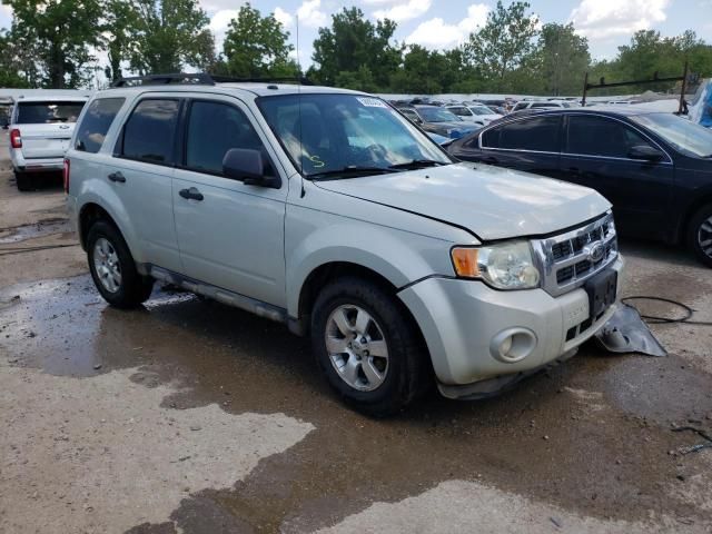 2009 Ford Escape XLT