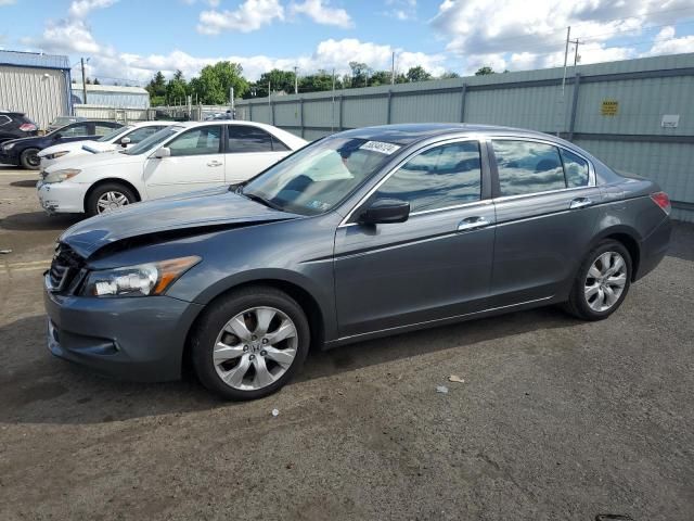 2010 Honda Accord EXL