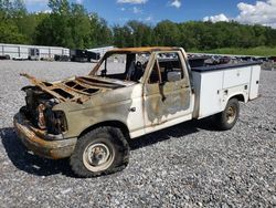 Salvage trucks for sale at Avon, MN auction: 1996 Ford F250