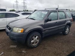 Vehiculos salvage en venta de Copart Elgin, IL: 2002 Ford Escape XLS