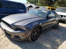 Salvage cars for sale at Seaford, DE auction: 2013 Ford Mustang