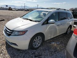 Salvage cars for sale at Magna, UT auction: 2014 Honda Odyssey EXL