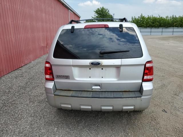 2010 Ford Escape XLT