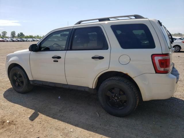 2011 Ford Escape XLT