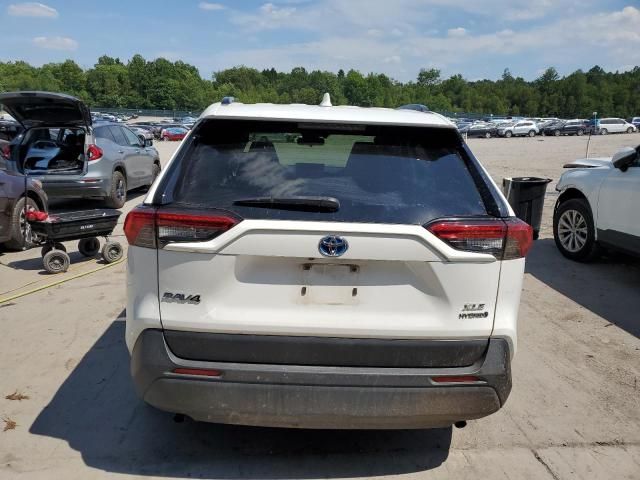 2019 Toyota Rav4 XLE