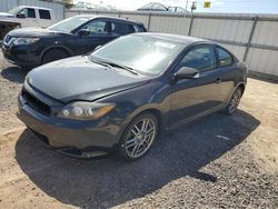 Salvage cars for sale at Kapolei, HI auction: 2009 Scion TC