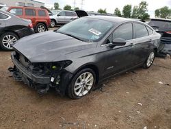 Salvage cars for sale from Copart Elgin, IL: 2019 Ford Fusion SE