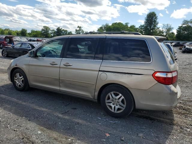 2005 Honda Odyssey EXL