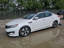 Salvage cars for sale at Cicero, IN auction: 2012 KIA Optima Hybrid