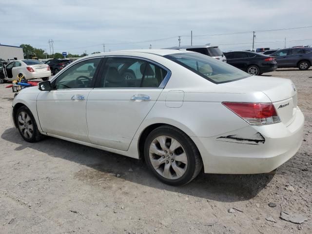 2010 Honda Accord EXL