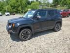 2017 Jeep Renegade Trailhawk