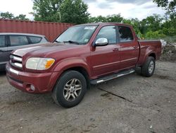 Salvage cars for sale at Baltimore, MD auction: 2005 Toyota Tundra Double Cab SR5