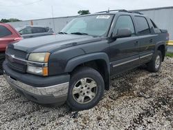 Chevrolet salvage cars for sale: 2005 Chevrolet Avalanche K1500