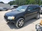 2005 Ford Escape XLT