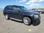 2007 Chevrolet Trailblazer LS