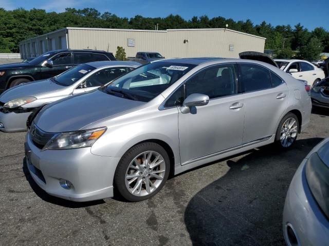 2010 Lexus HS 250H