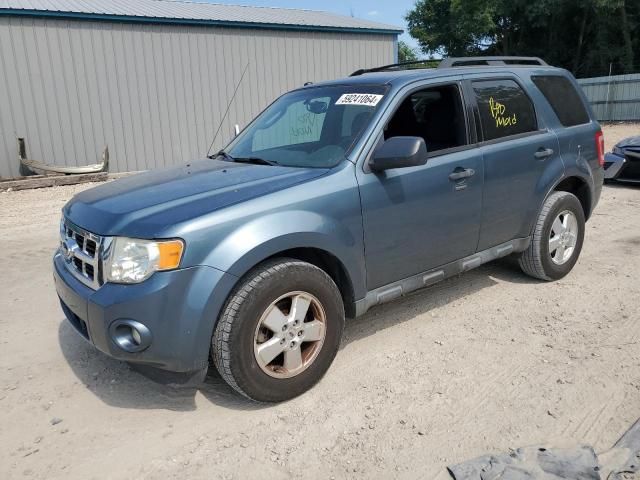 2011 Ford Escape XLT