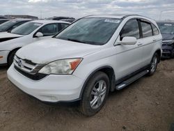 Salvage cars for sale at Brighton, CO auction: 2010 Honda CR-V EXL