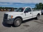 2010 Ford F150