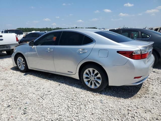 2013 Lexus ES 300H