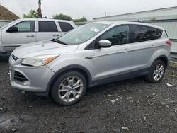 Salvage cars for sale at Brookhaven, NY auction: 2013 Ford Escape SEL