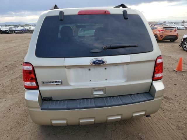 2011 Ford Escape XLT