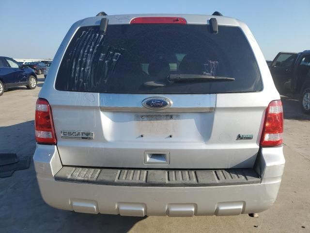 2011 Ford Escape Limited