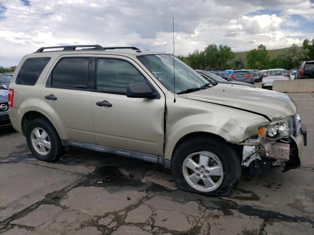 2010 Ford Escape XLT