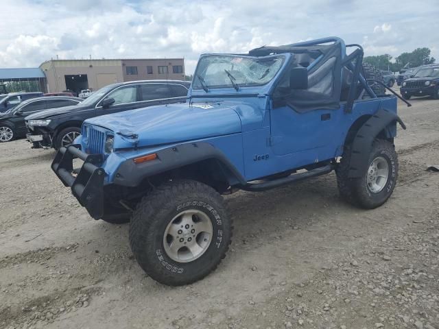 1989 Jeep Wrangler / YJ