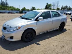 Salvage cars for sale from Copart Ontario Auction, ON: 2010 Toyota Corolla Base