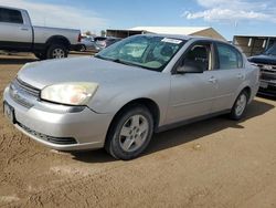 Salvage cars for sale at Brighton, CO auction: 2005 Chevrolet Malibu LS