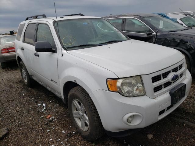 2009 Ford Escape Hybrid