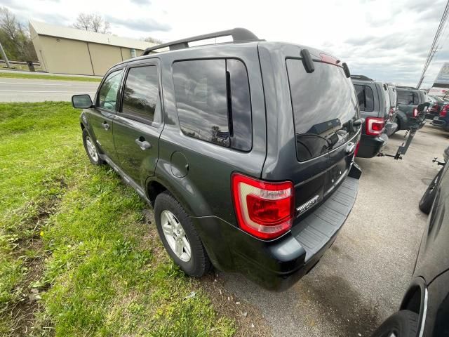 2009 Ford Escape Hybrid