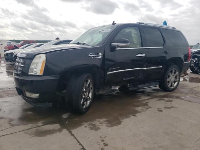 2008 Cadillac Escalade Luxury