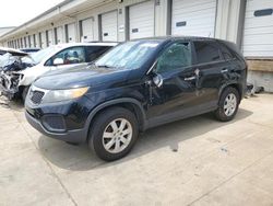 2011 KIA Sorento Base en venta en Louisville, KY