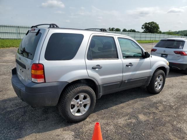 2006 Ford Escape XLT