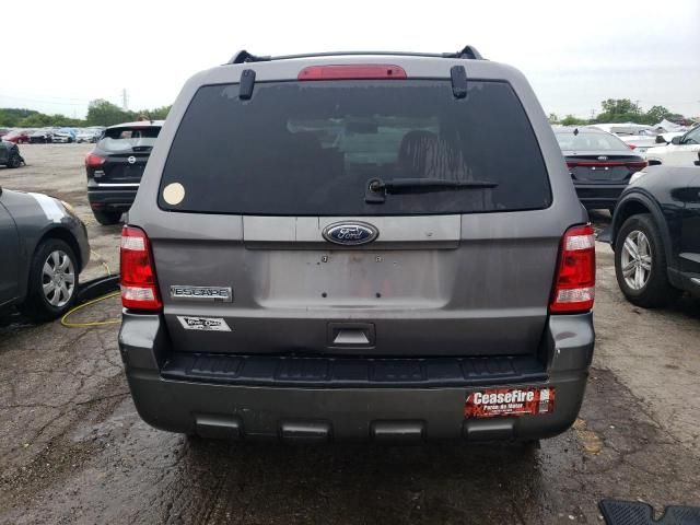 2010 Ford Escape XLT