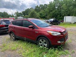 Salvage cars for sale at North Billerica, MA auction: 2013 Ford Escape SE