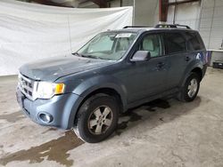 Ford Escape xlt salvage cars for sale: 2012 Ford Escape XLT