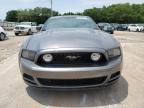 2013 Ford Mustang GT