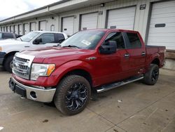 Salvage cars for sale at Louisville, KY auction: 2014 Ford F150 Supercrew