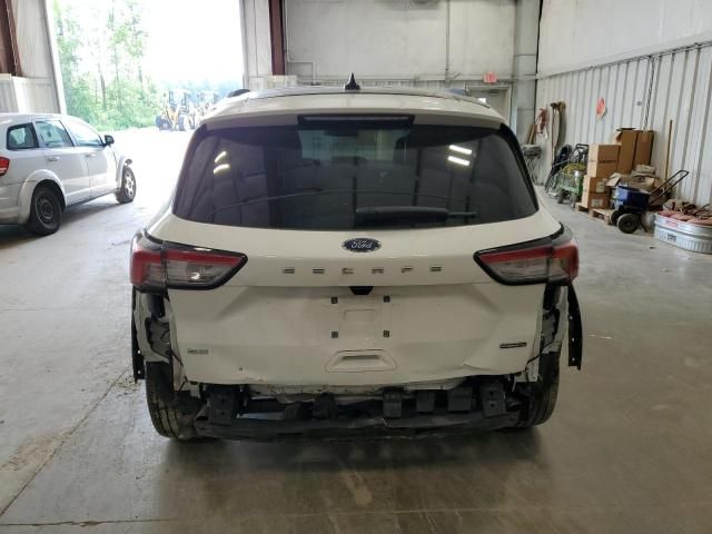 2020 Ford Escape SE Sport