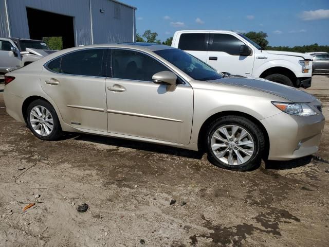 2015 Lexus ES 300H