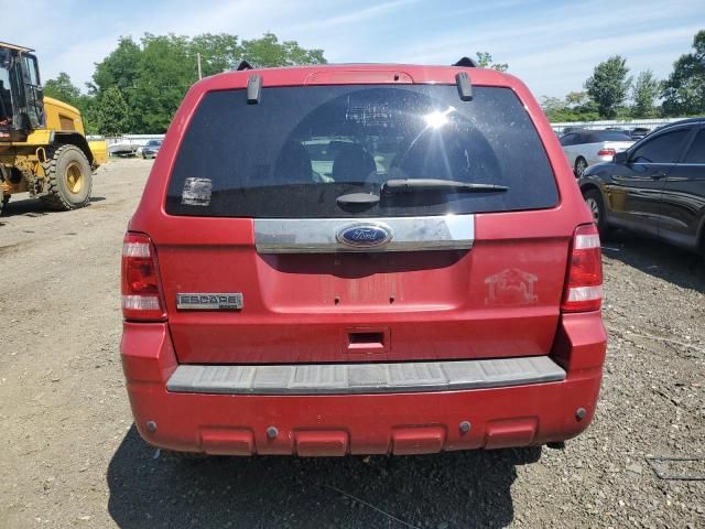 2011 Ford Escape Limited